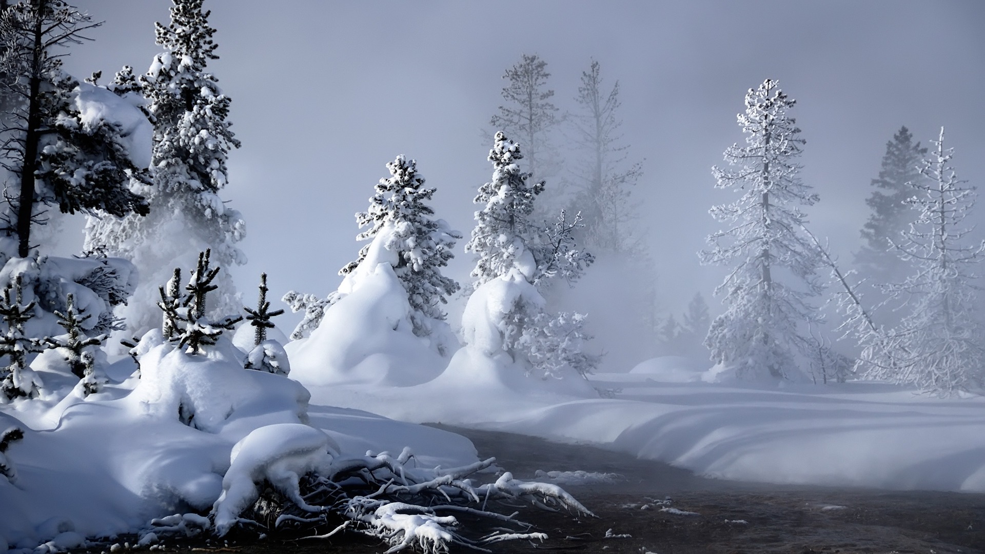 Beautiful Snow Scenes Wallpapers