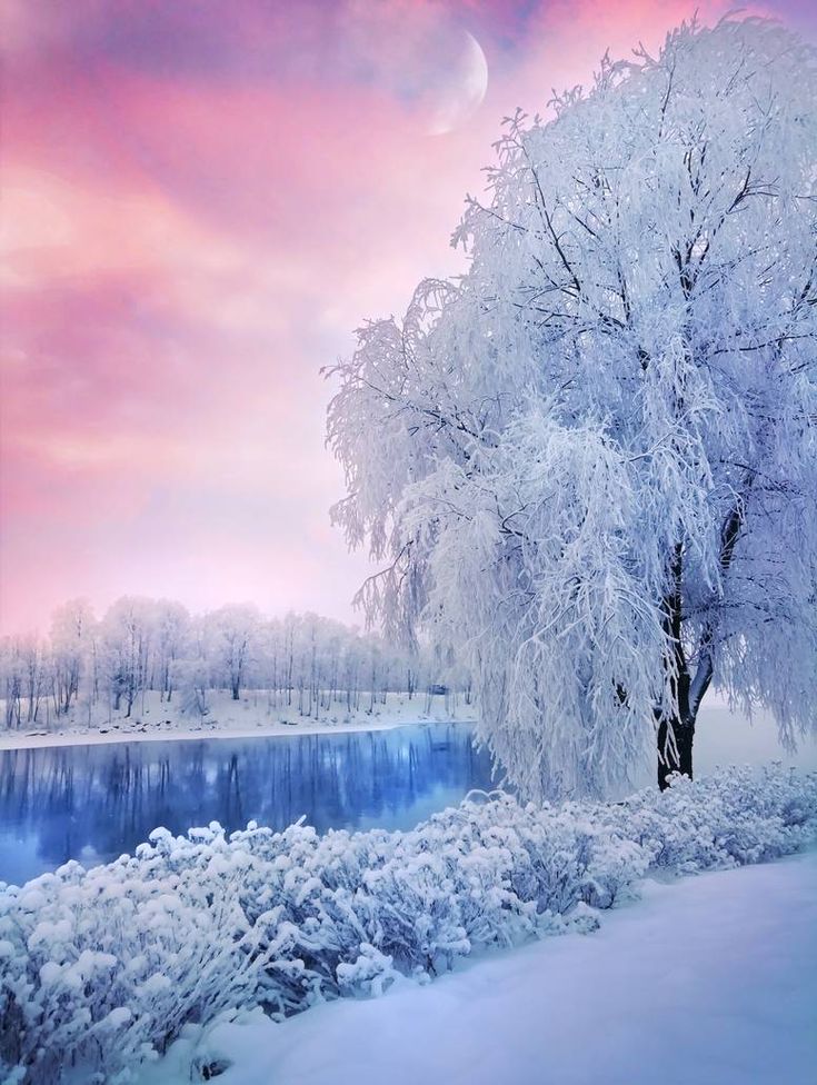 Beautiful Snow Scenes Wallpapers