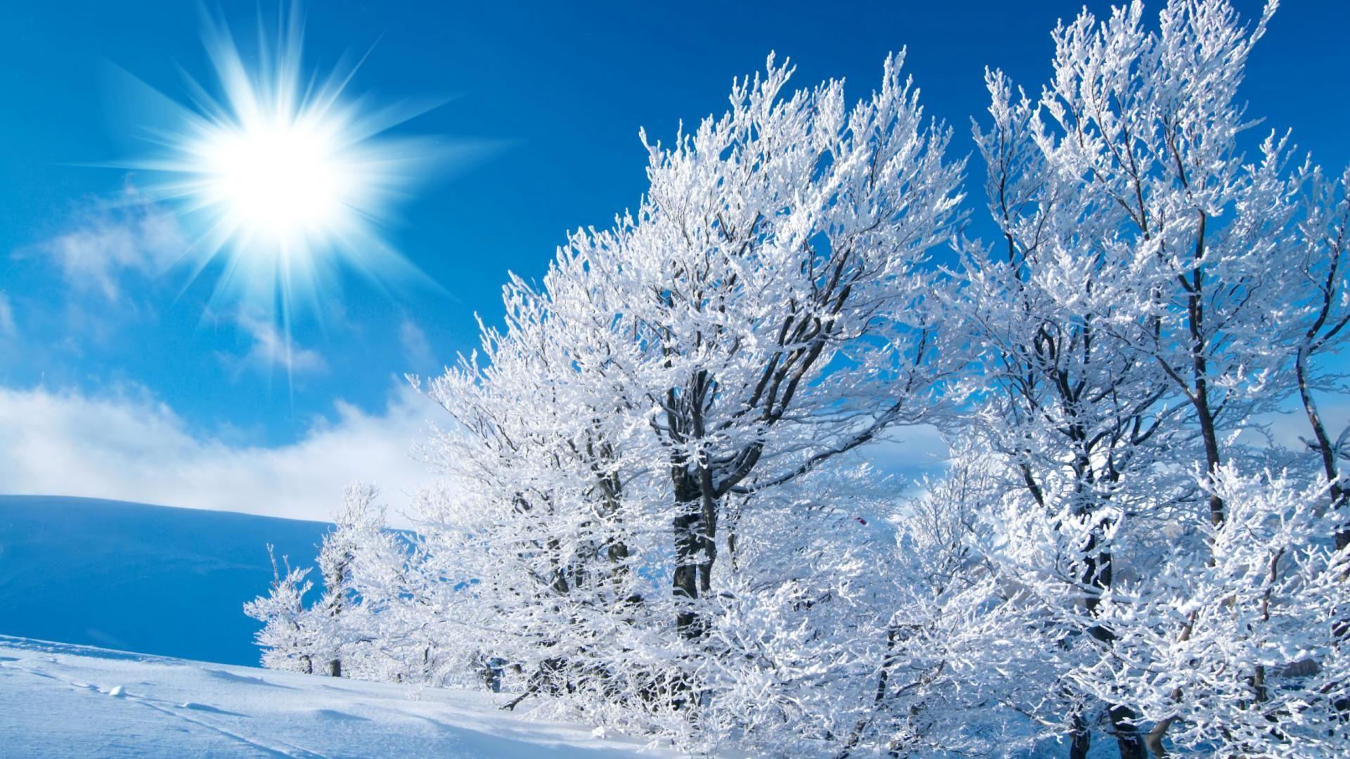 Beautiful Snow Scenes Wallpapers