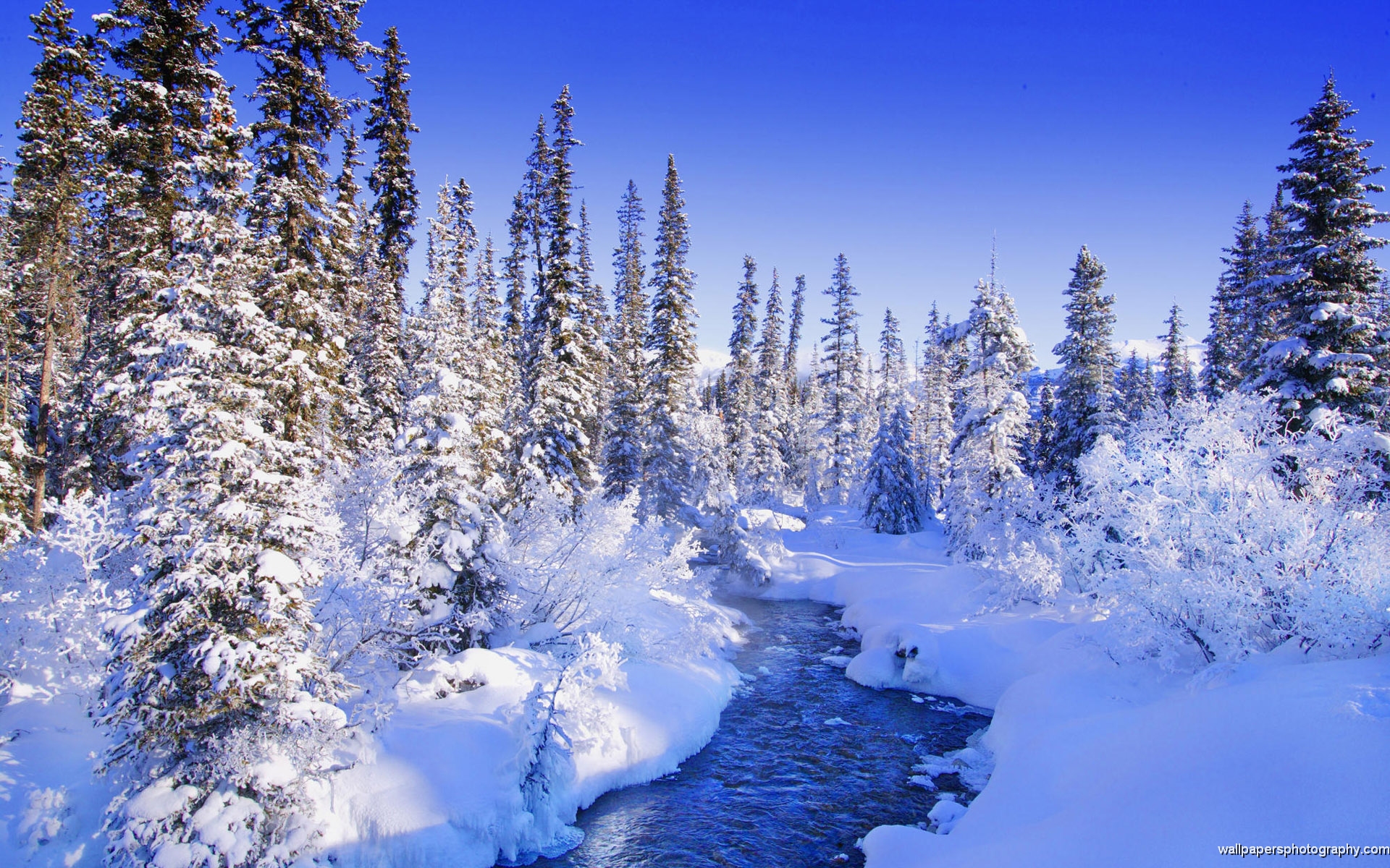 Beautiful Snow Scenes Wallpapers