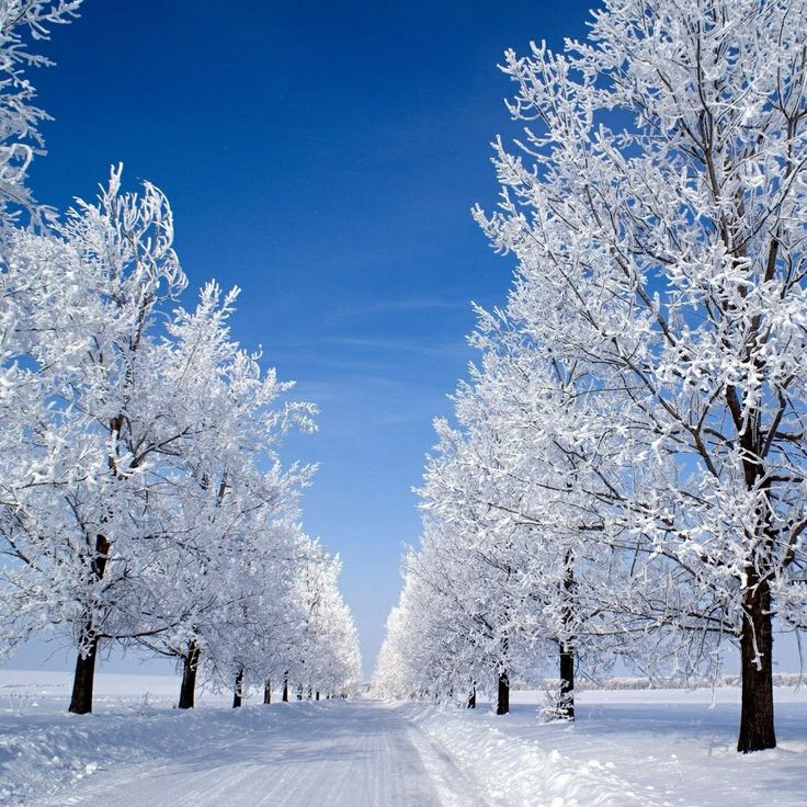 Beautiful Snow Scenes Wallpapers