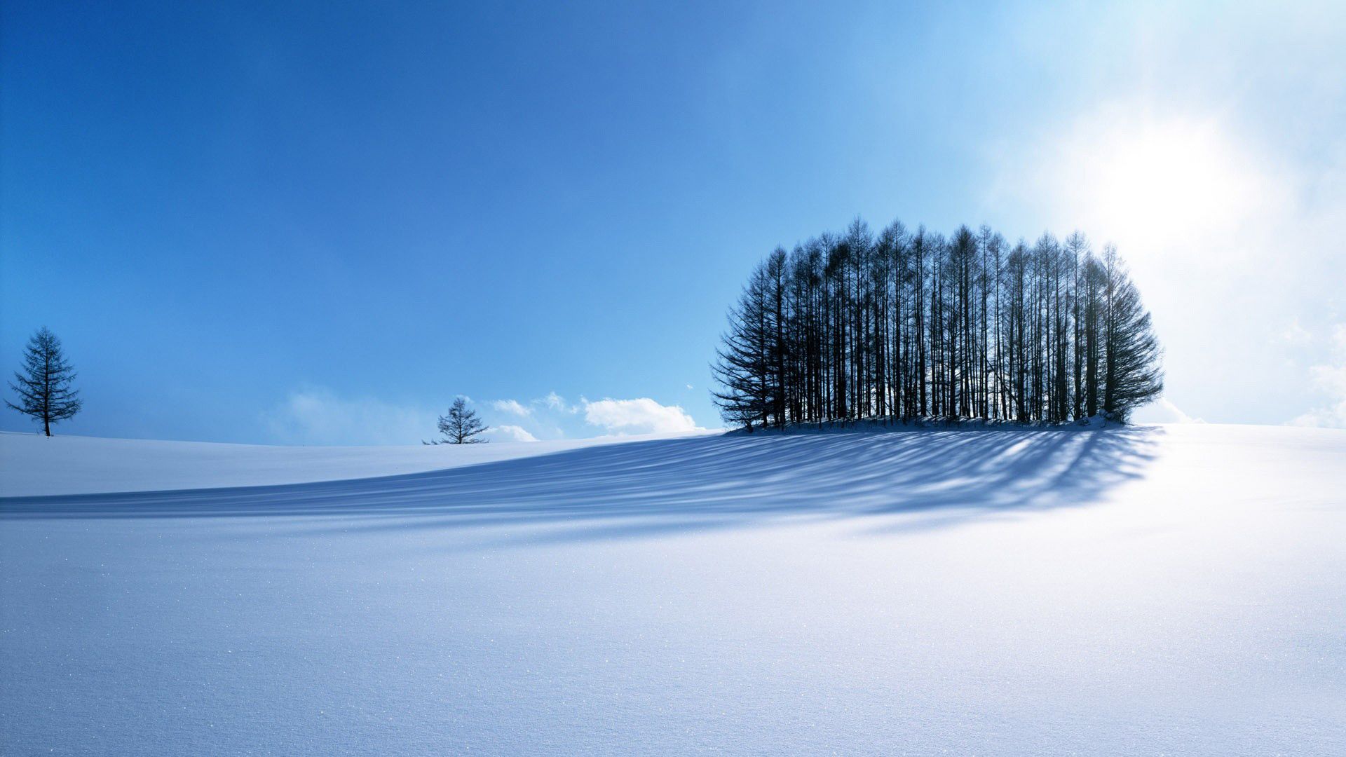 Beautiful Snow Scenes Wallpapers