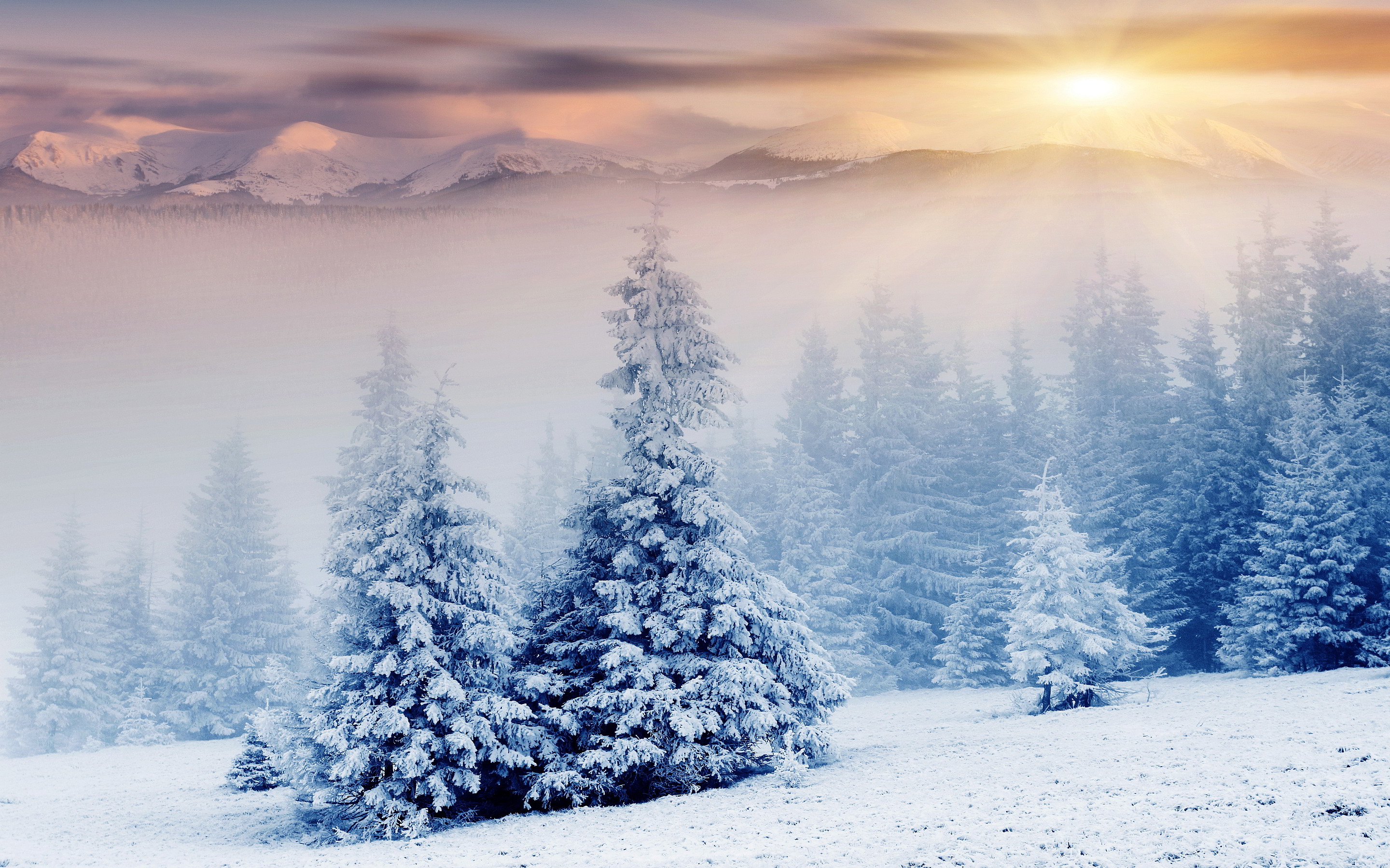 Beautiful Snow Wallpapers