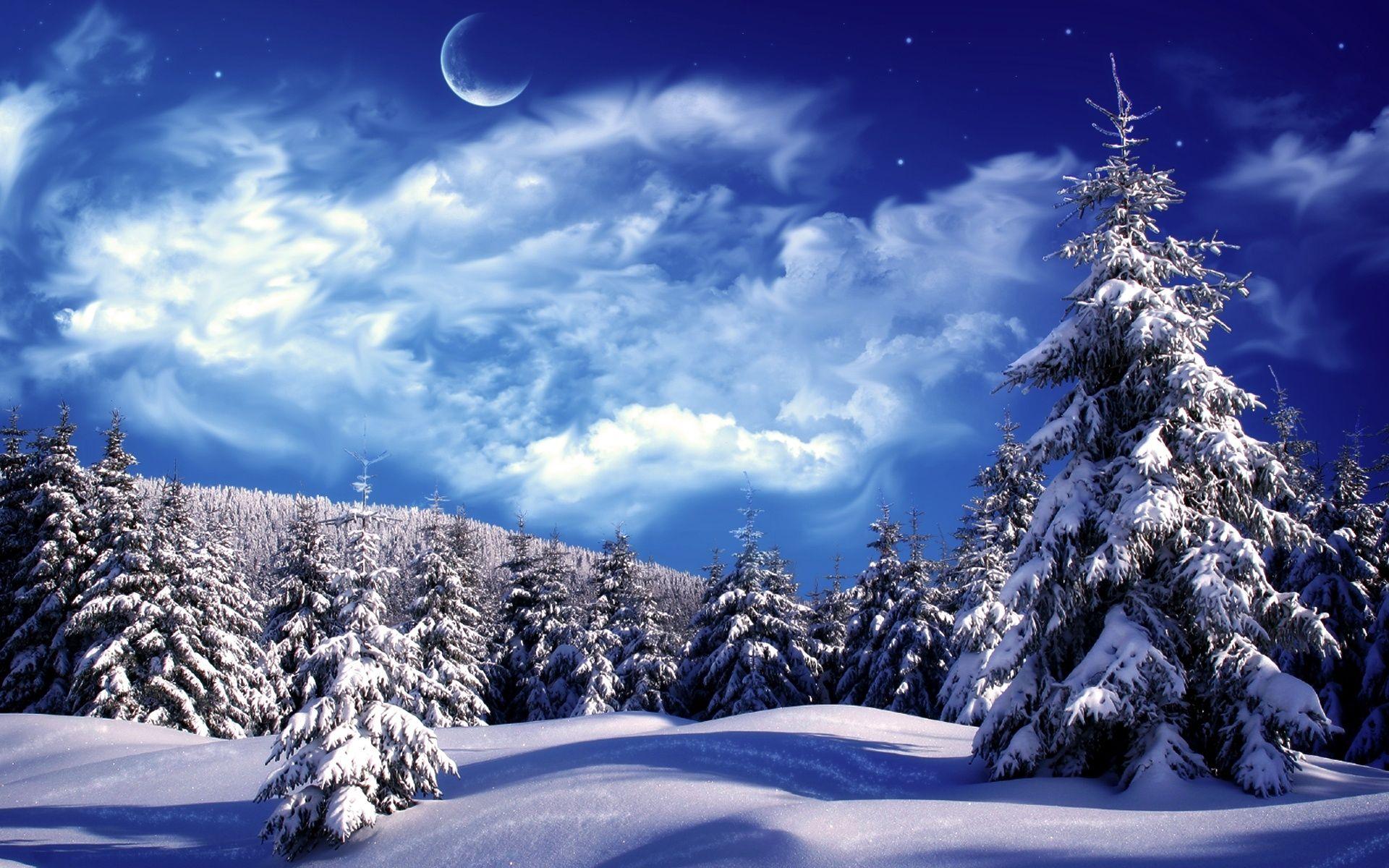 Beautiful Snow Wallpapers Wallpapers