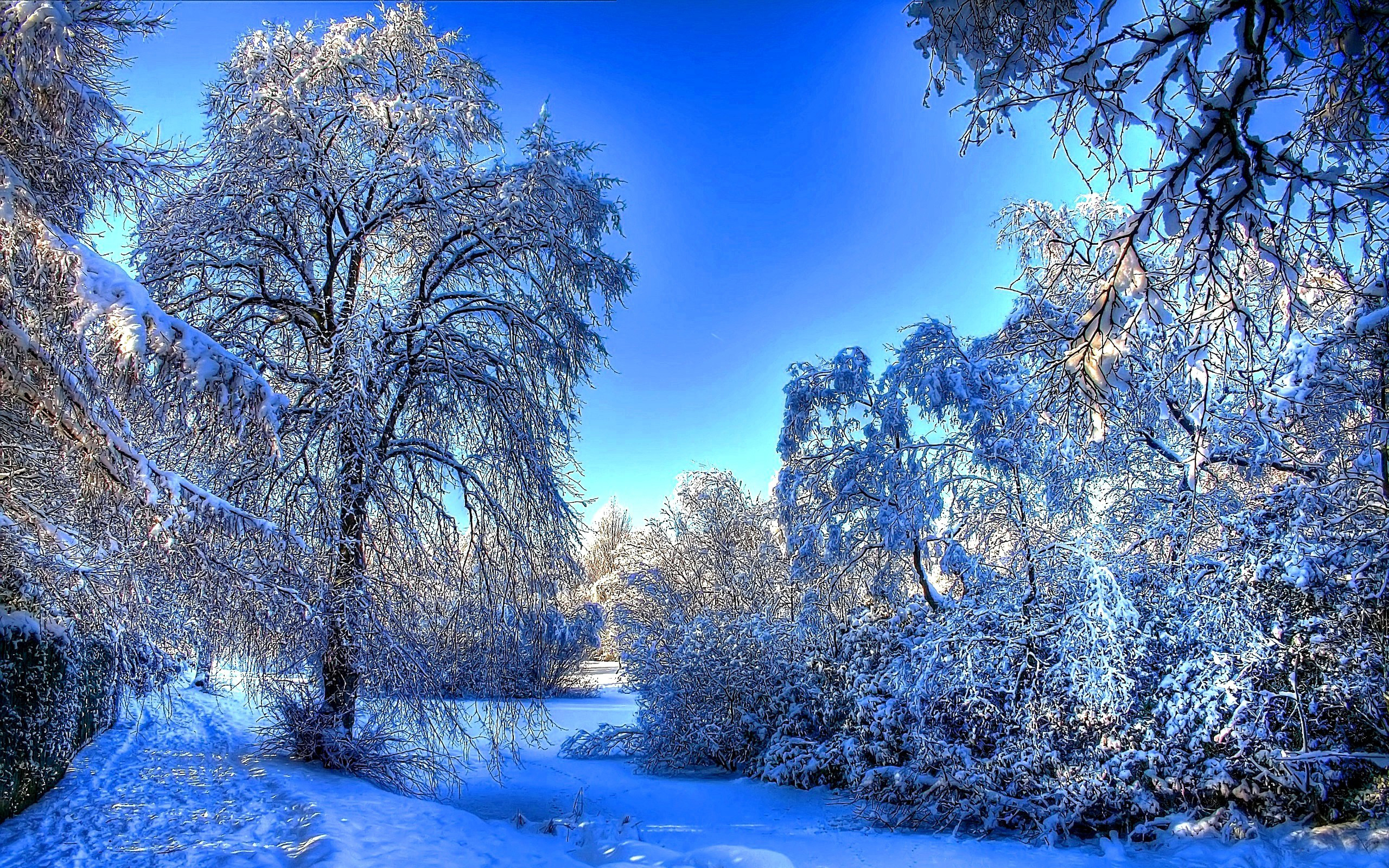 Beautiful Snow Wallpapers Wallpapers