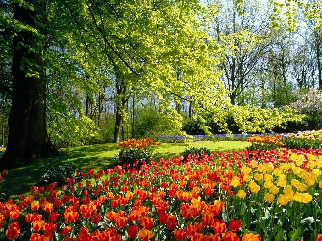 Beautiful Spring Scenery Wallpapers