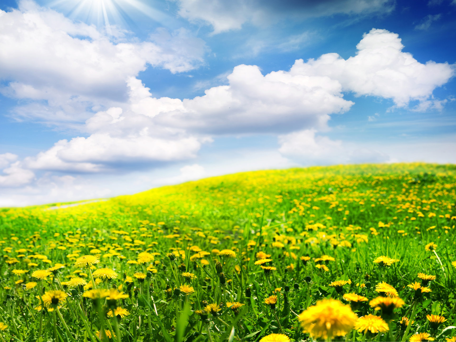 Beautiful Spring Scenery Wallpapers Wallpapers