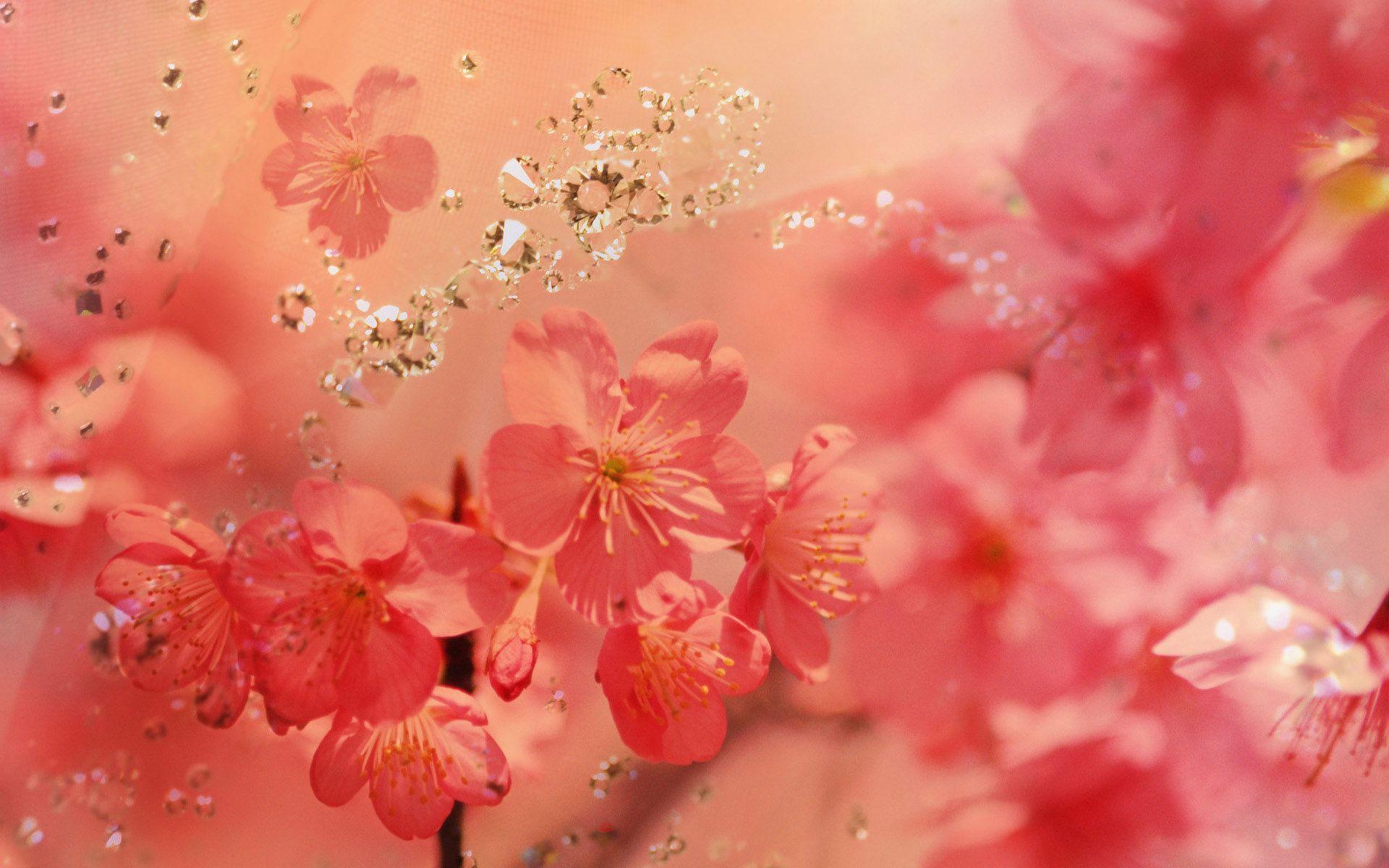 Beautiful Spring Wallpapers Wallpapers