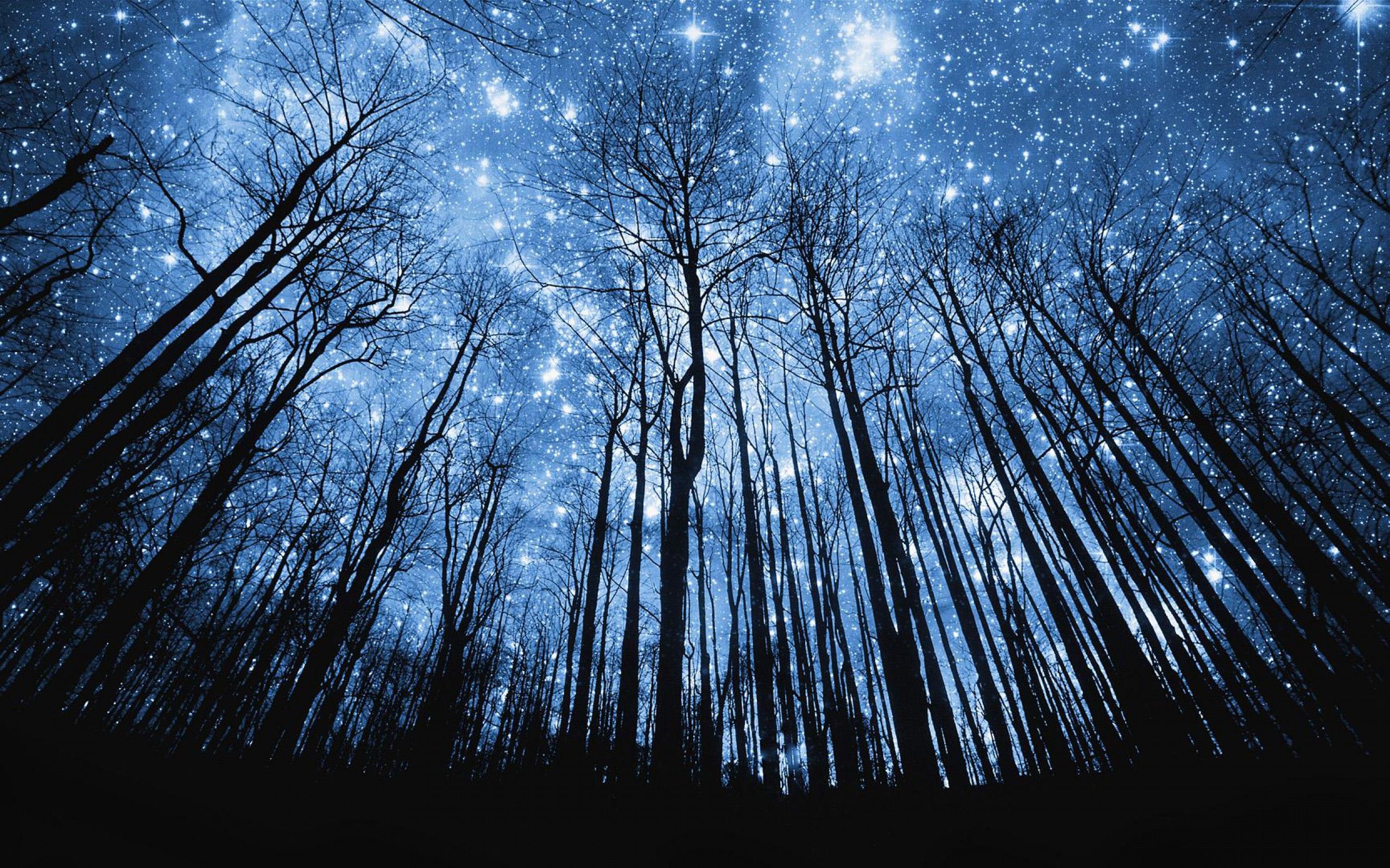 Beautiful Starry Night Sky Wallpapers