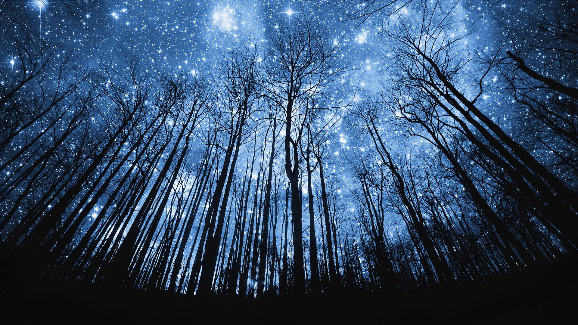 Beautiful Starry Night Sky Wallpapers