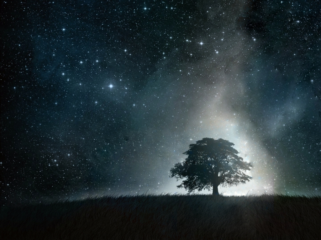 Beautiful Starry Night Sky Wallpapers