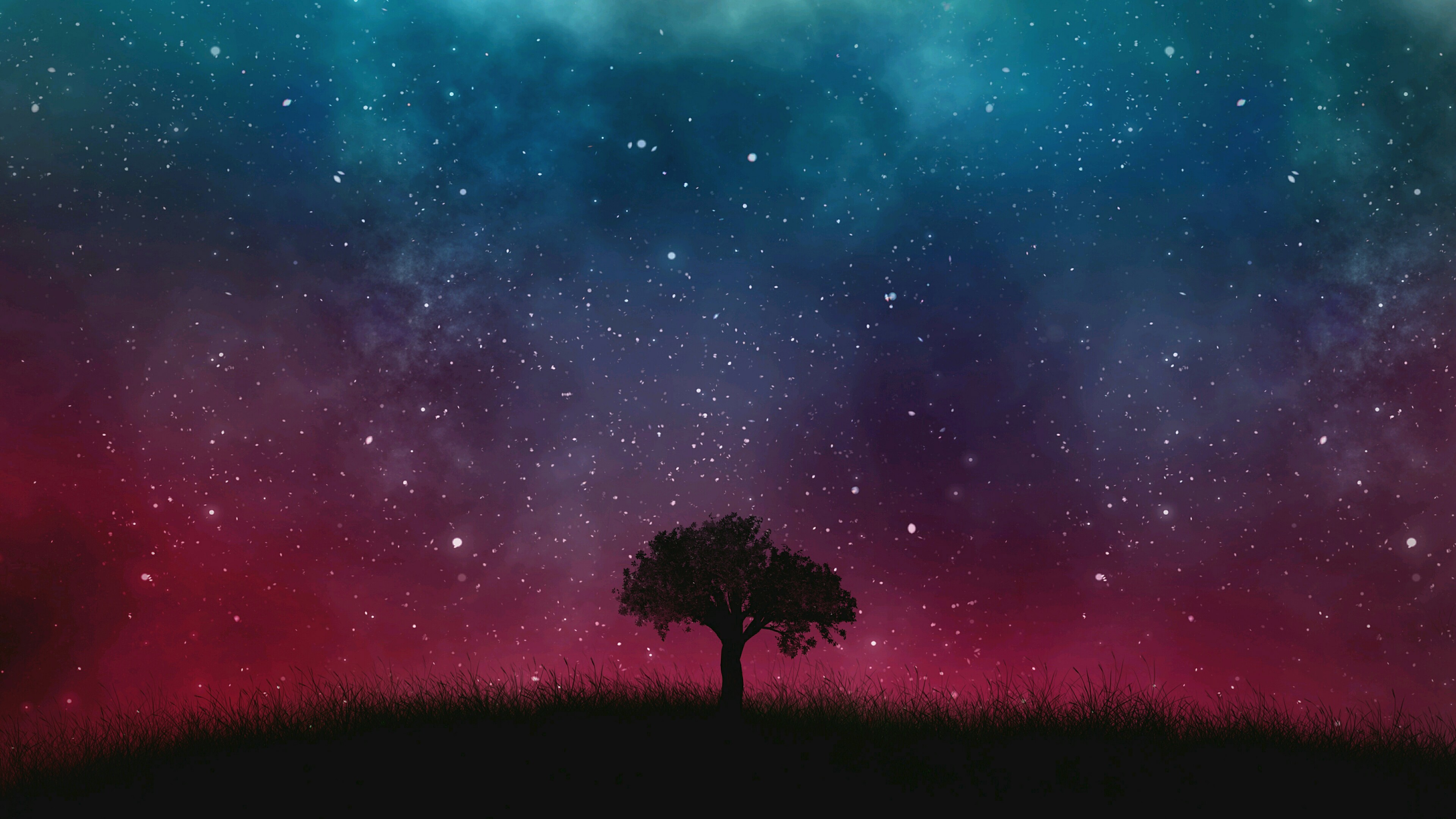 Beautiful Starry Night Sky Wallpapers