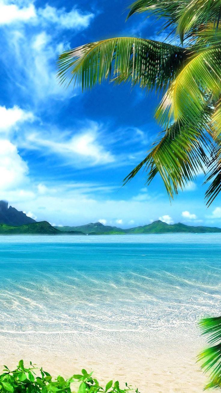 Beautiful Summer Beach Wallpapers