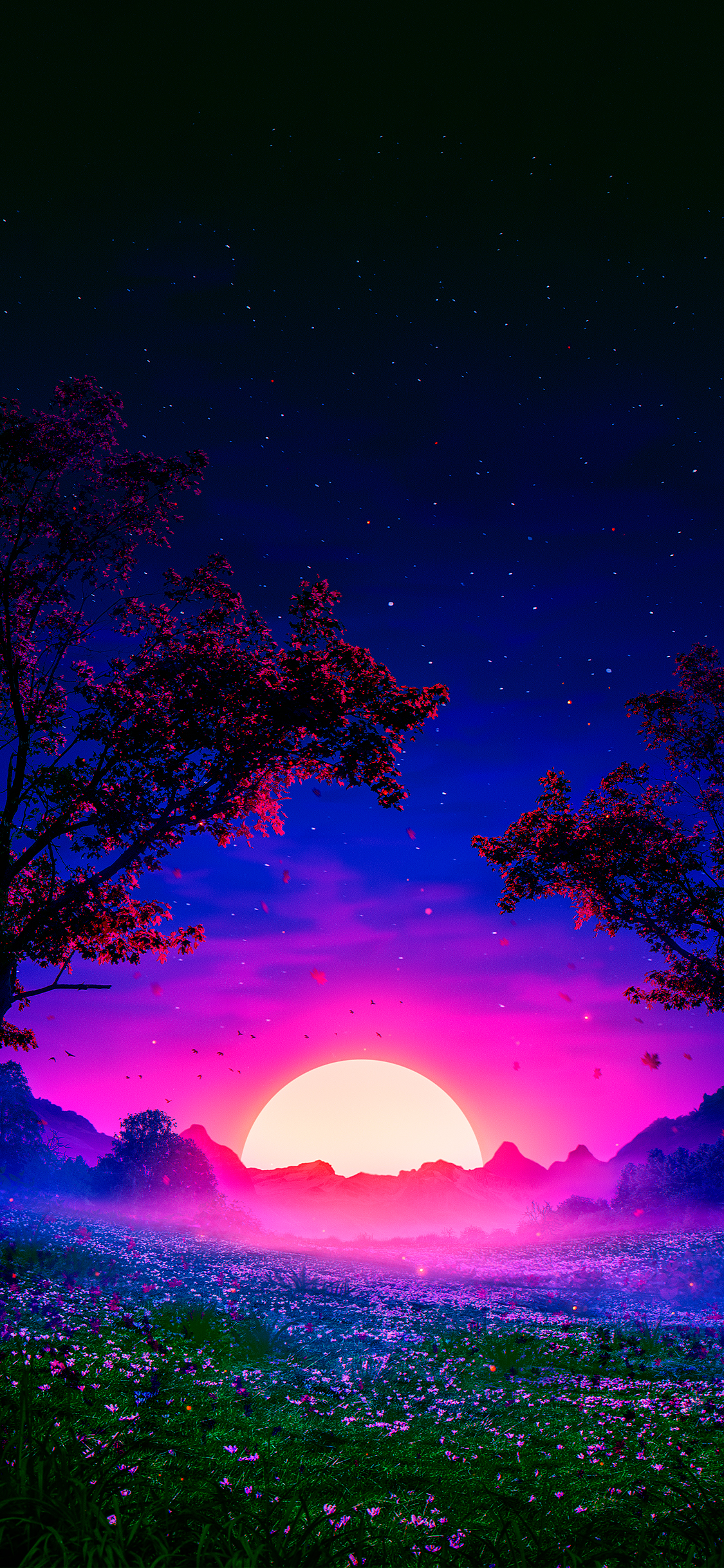 Beautiful Sunset Wallpapers