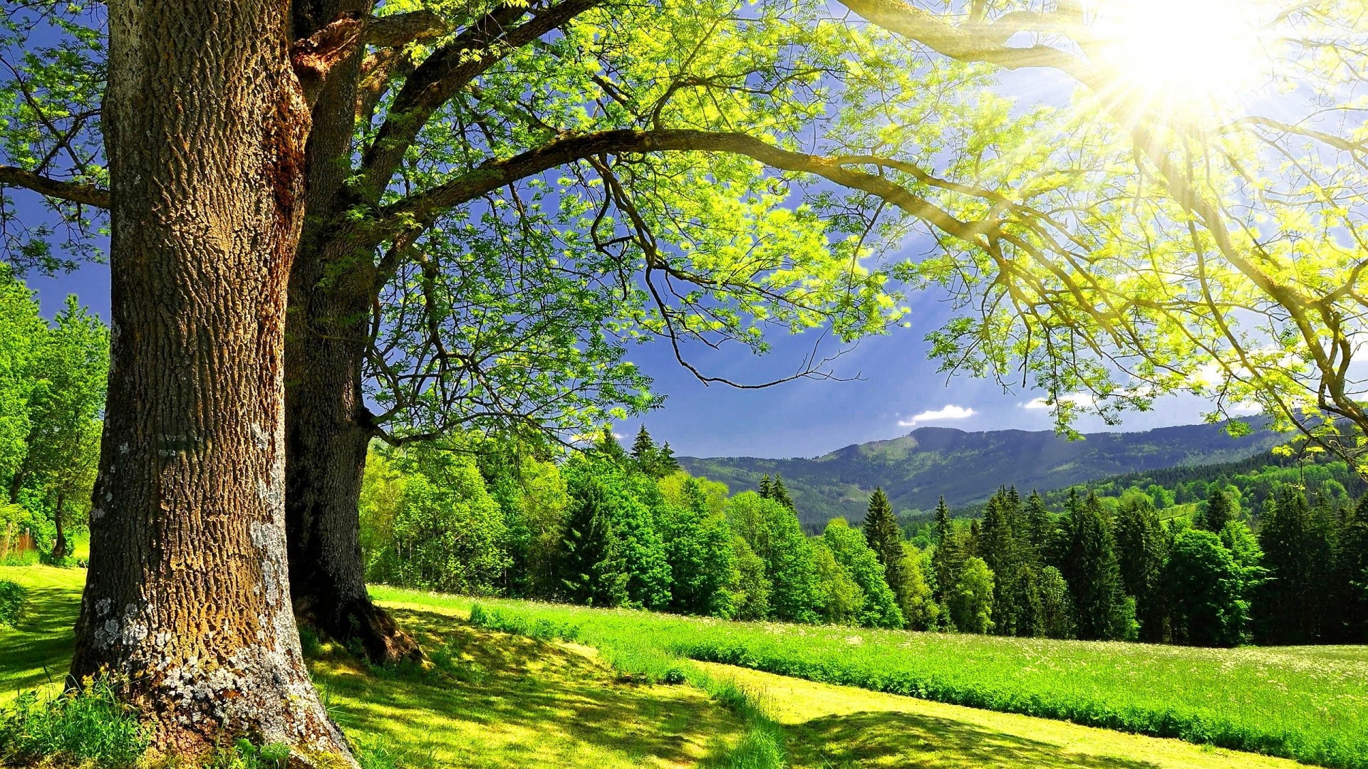 Beautiful Sunshine Wallpapers Wallpapers