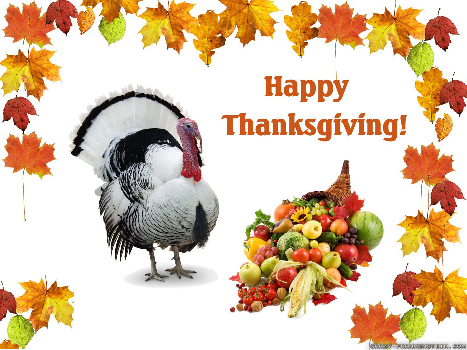 Beautiful Thanksgiving Wallpapers