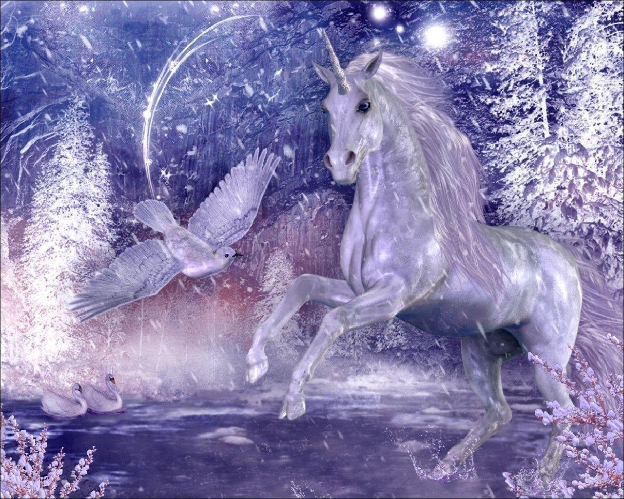 Beautiful Unicorn Wallpapers