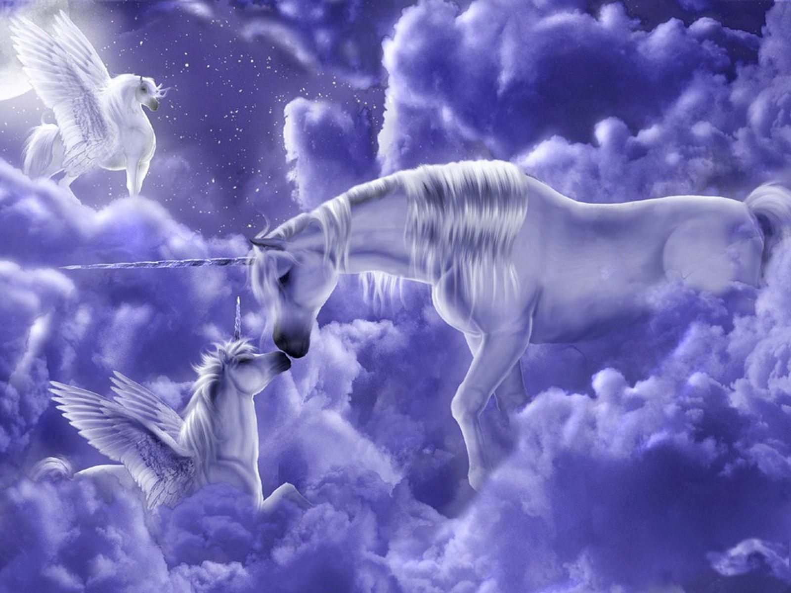 Beautiful Unicorn Wallpapers