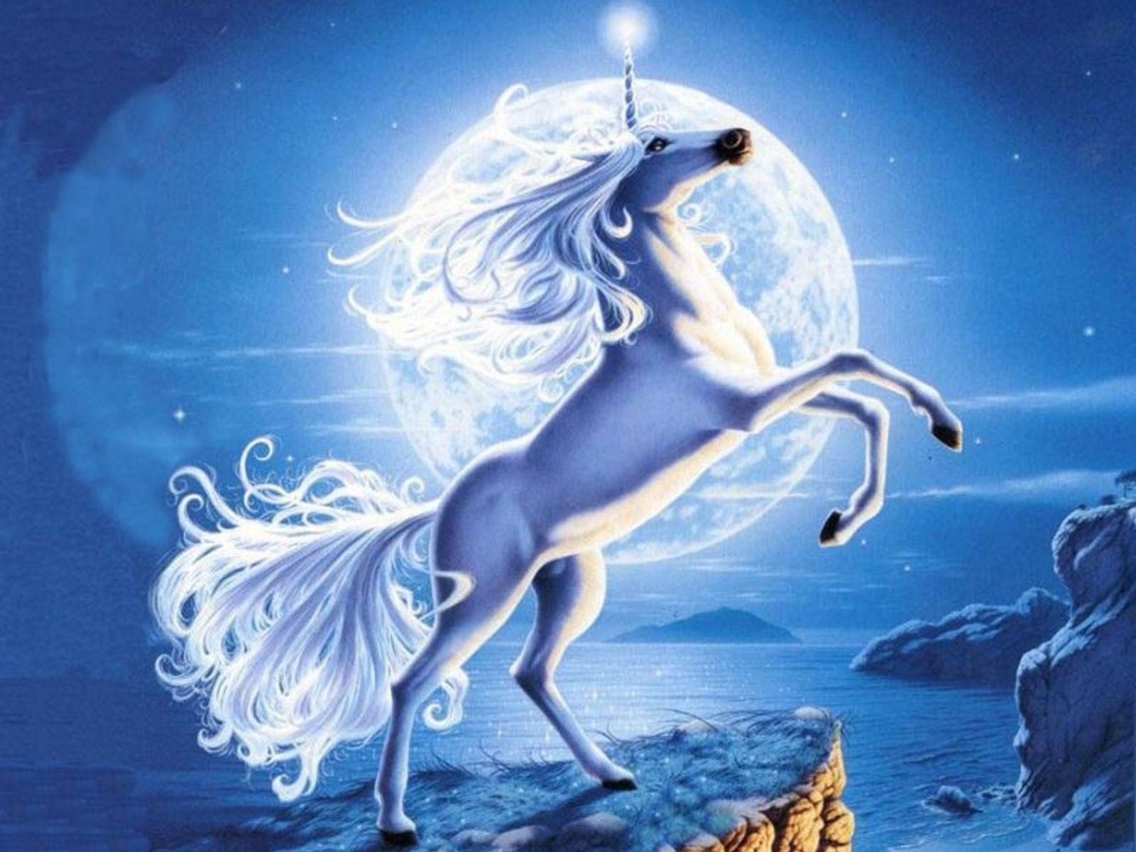 Beautiful Unicorn Wallpapers