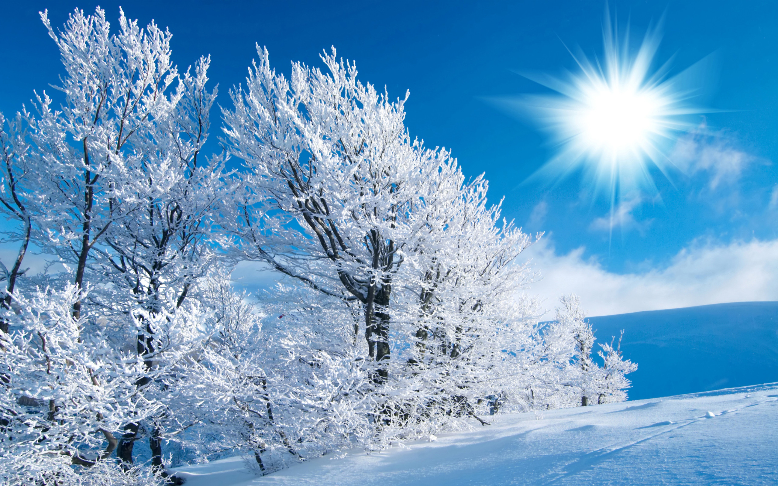 Beautiful Winter Scenes Wallpapers