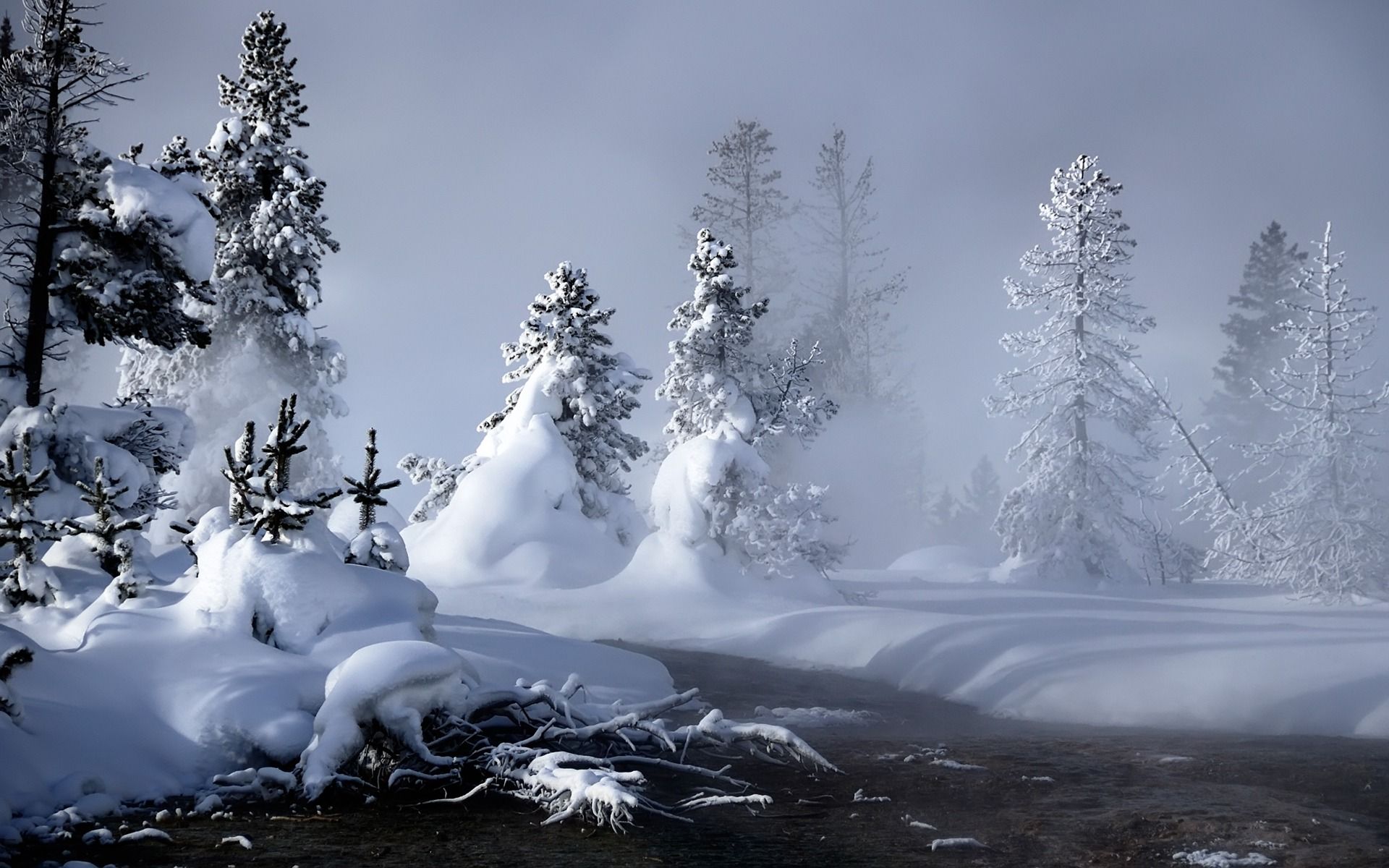 Beautiful Winter Scenes Wallpapers