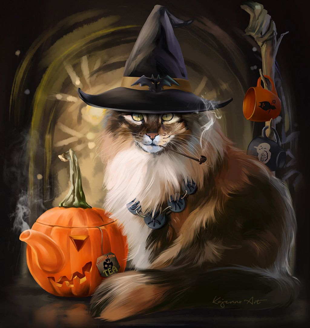 Beautiful Witch Cat Wallpapers