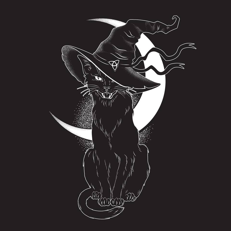 Beautiful Witch Cat Wallpapers