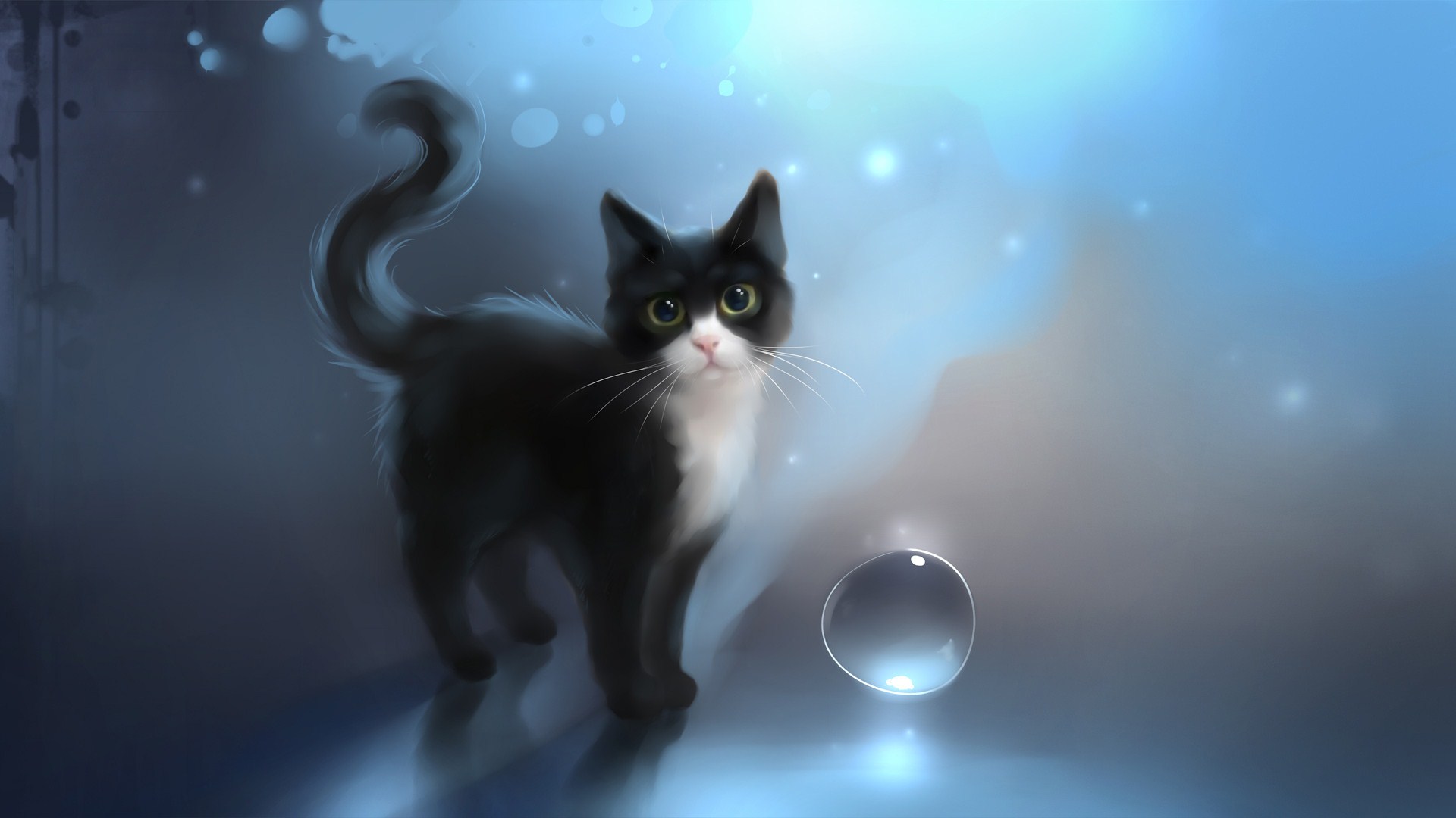 Beautiful Witch Cat Wallpapers