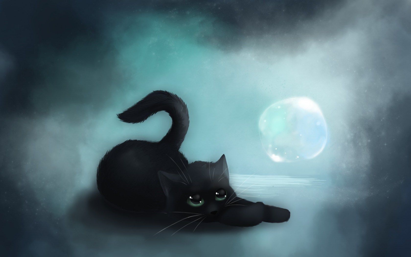 Beautiful Witch Cat Wallpapers