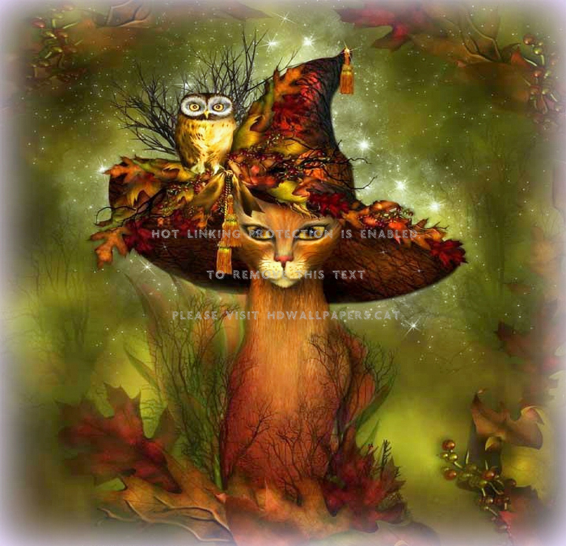 Beautiful Witch Cat Wallpapers