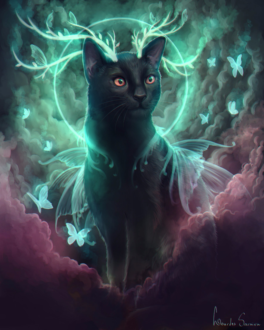 Beautiful Witch Cat Wallpapers