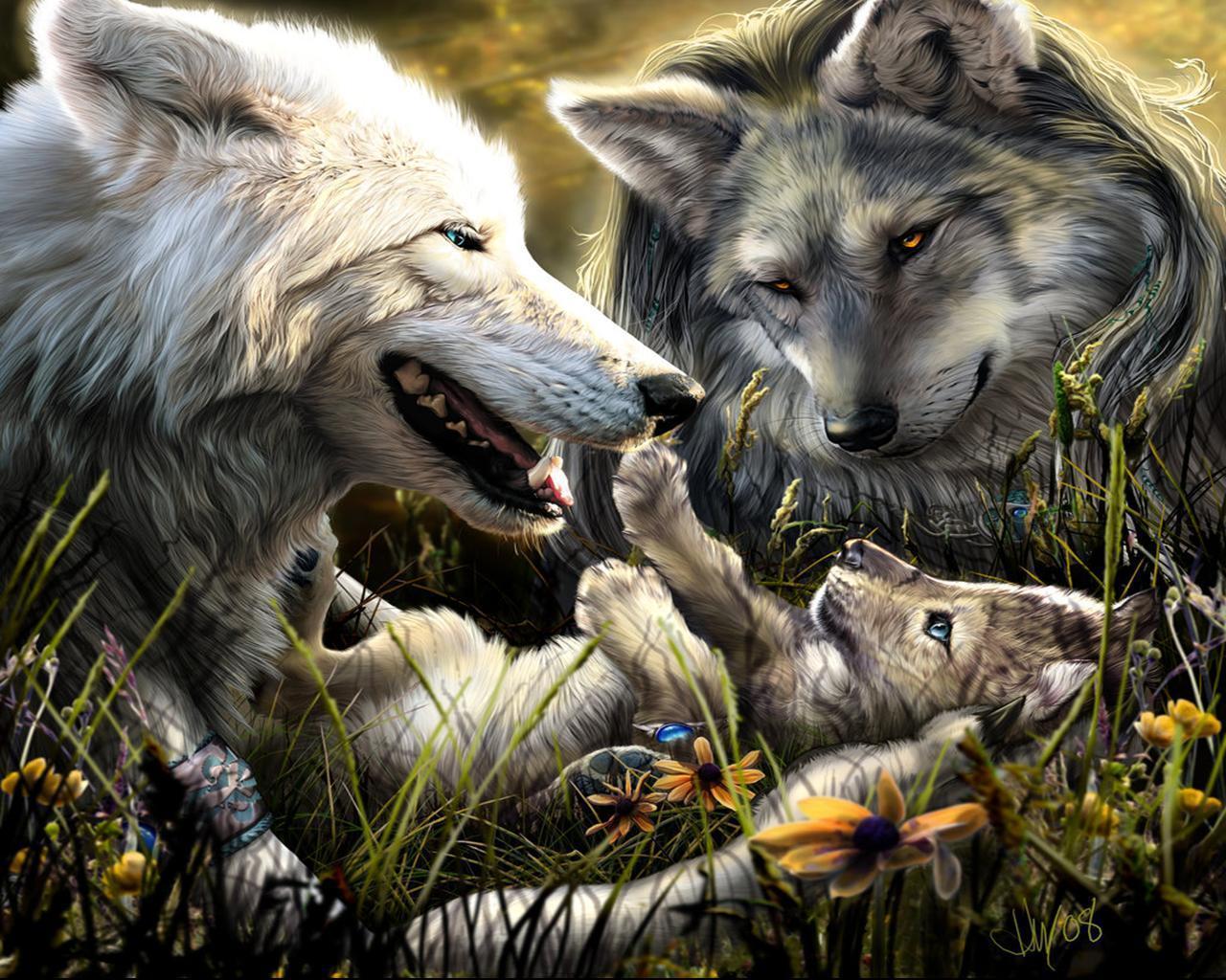 Beautiful Wolf Wallpapers