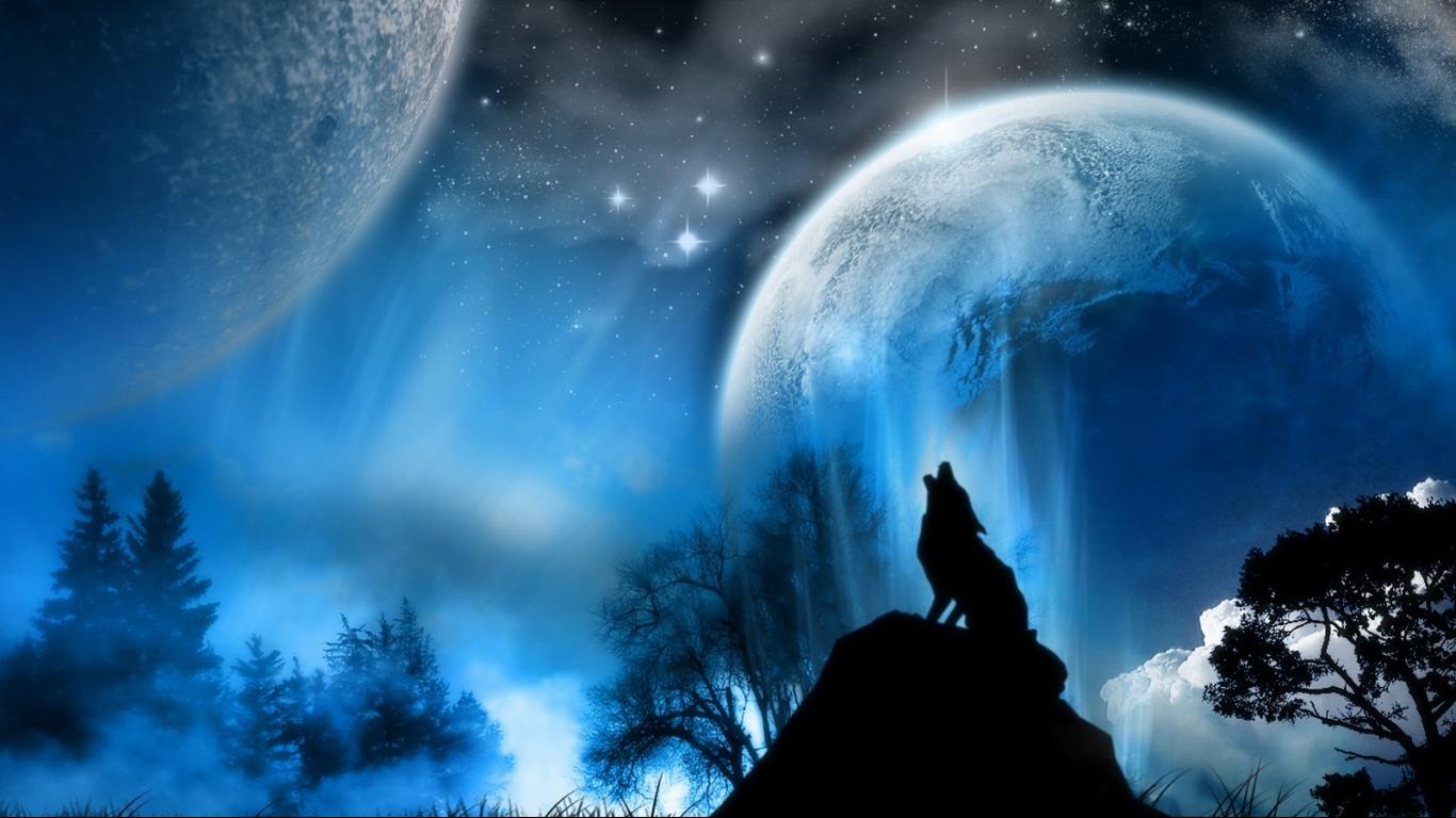 Beautiful Wolf Wallpapers