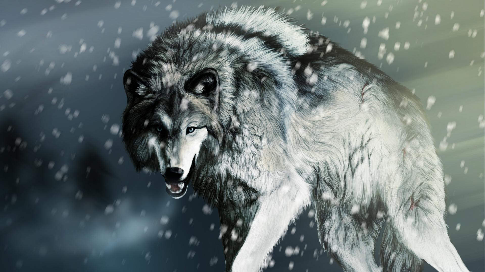 Beautiful Wolves Wallpapers