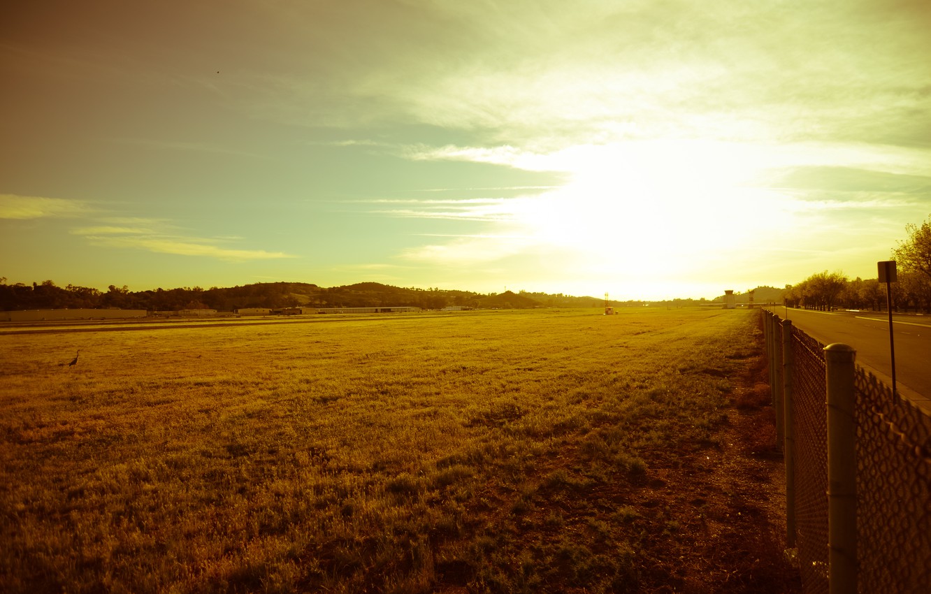 Beautiful Yellow Grass Field With Sunrays Landscape View Wallpapers