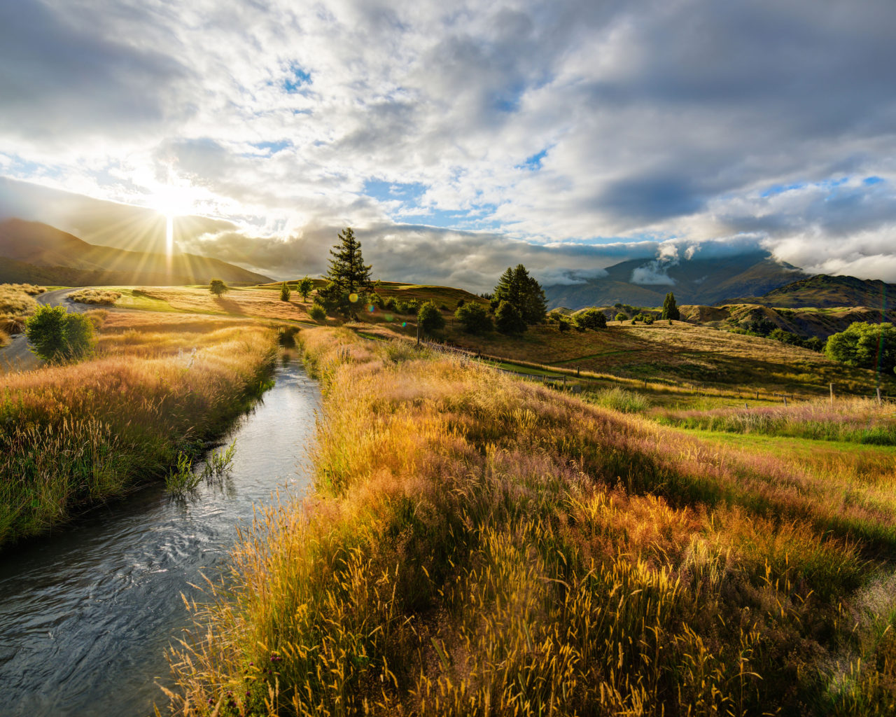 Beautiful Yellow Grass Field With Sunrays Landscape View Wallpapers