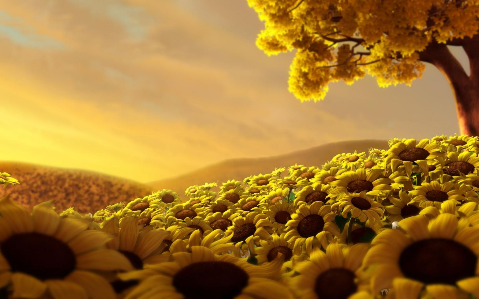 Beautiful Yellow Nature Wallpapers