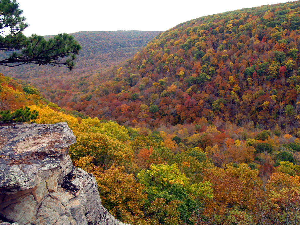 Beaver Lake Ozark Mountains Wallpapers