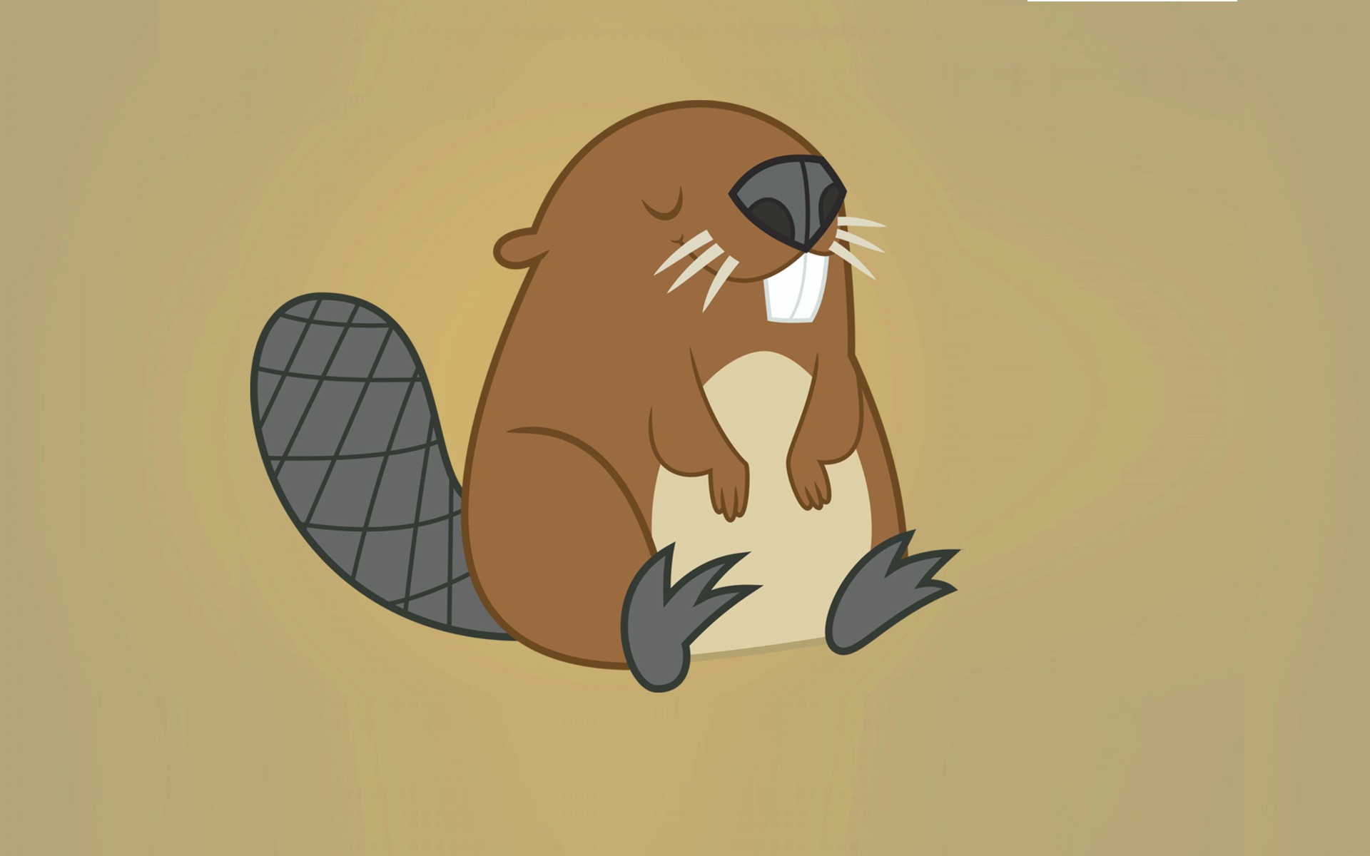 Beaver Wallpapers