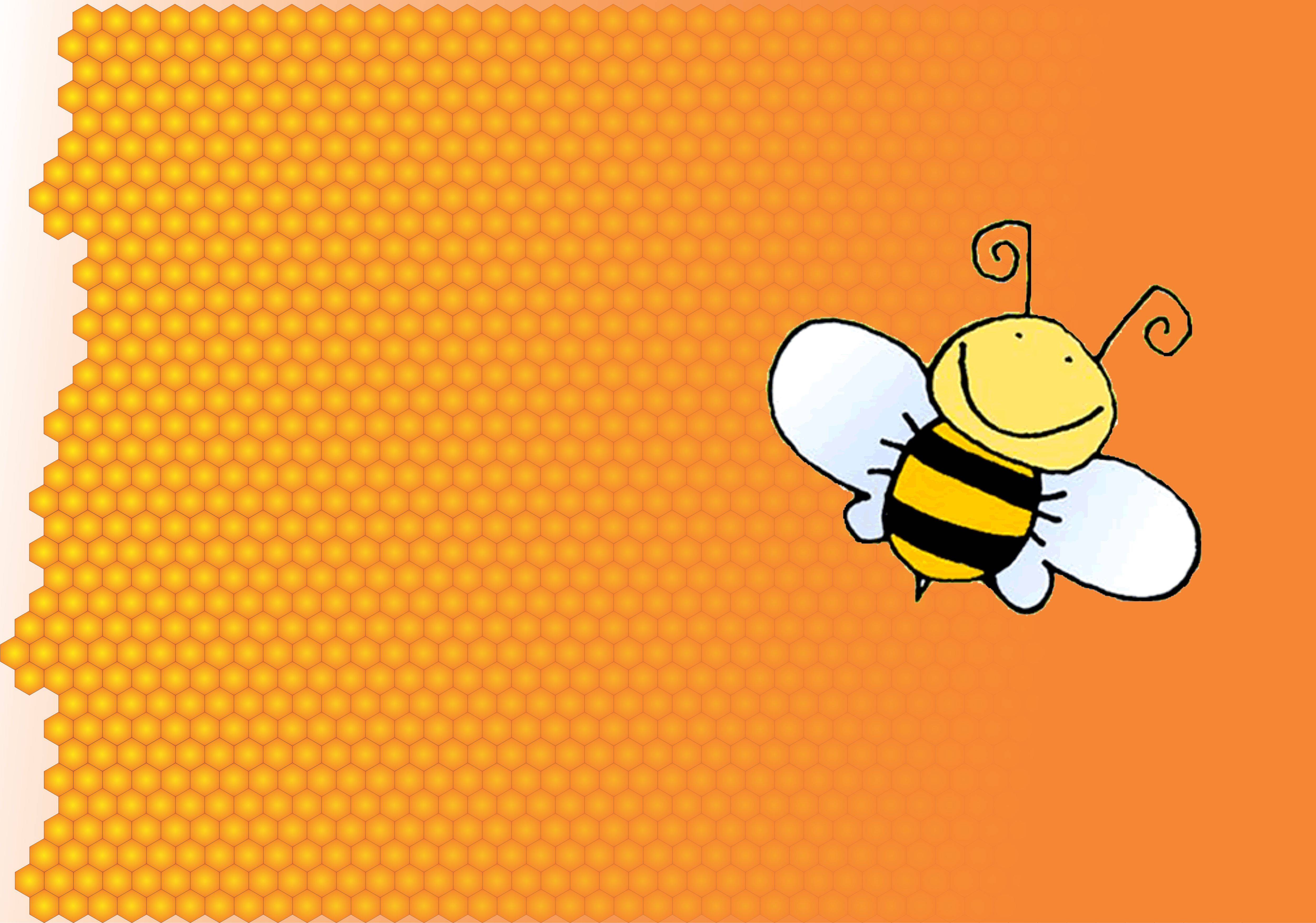 Bee Desktop Wallpapers