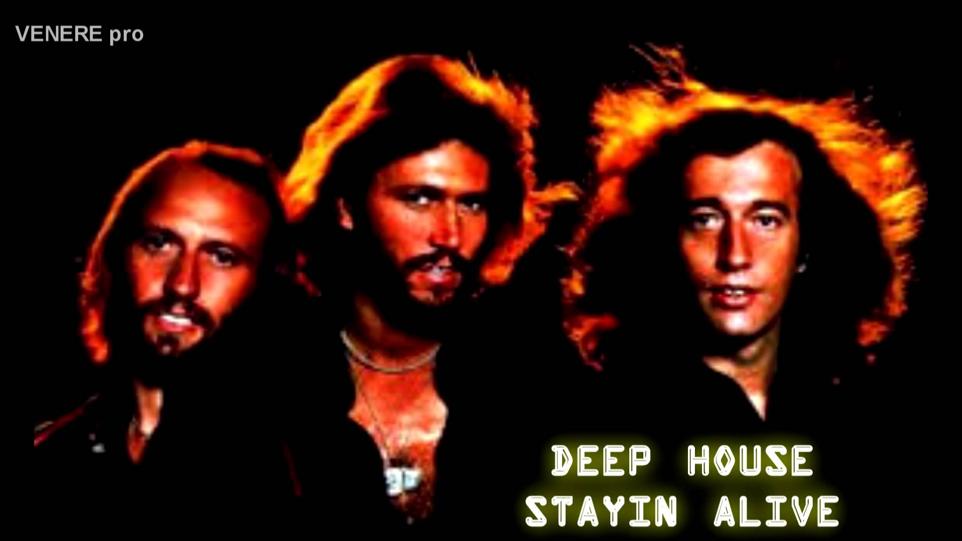 Bee Gees Wallpapers