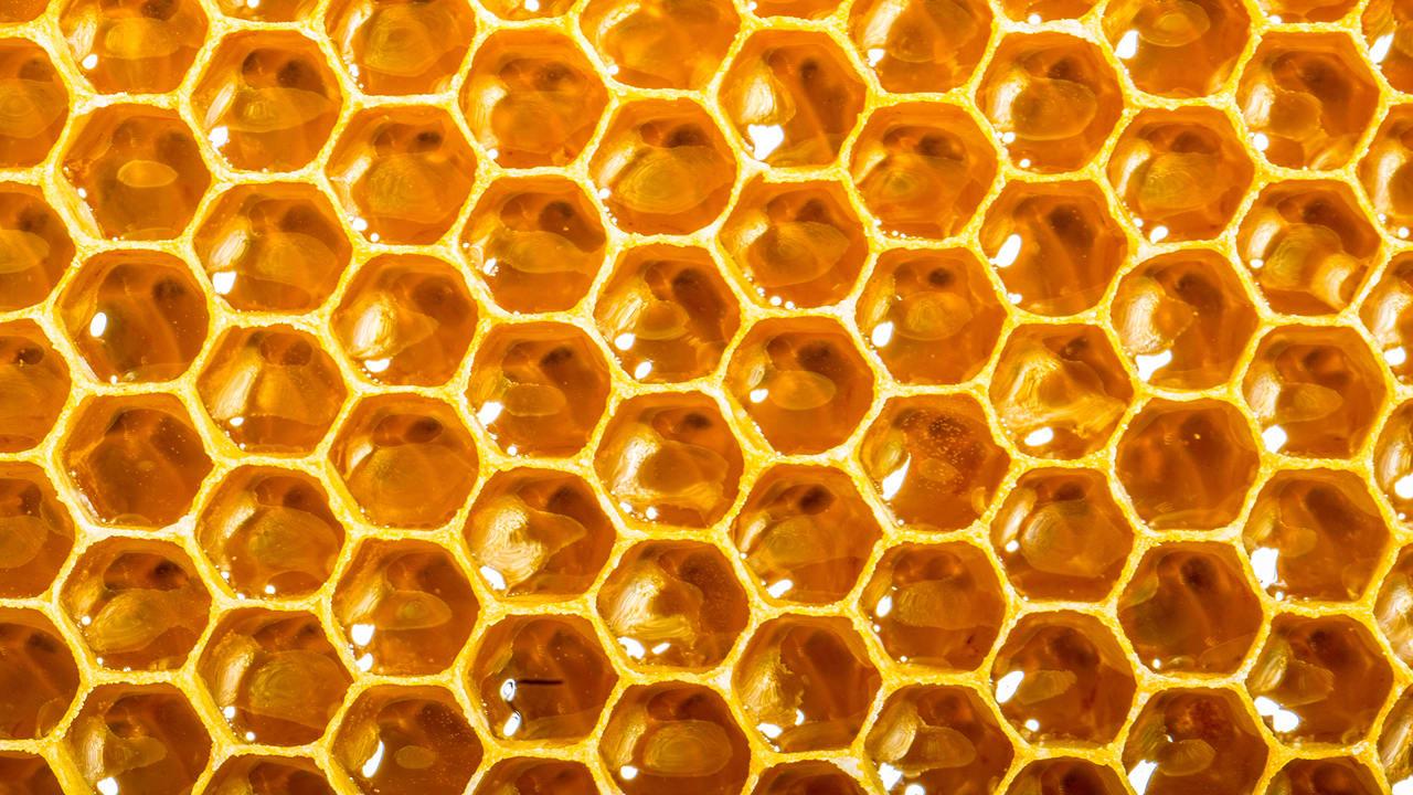 Bee Hive Background