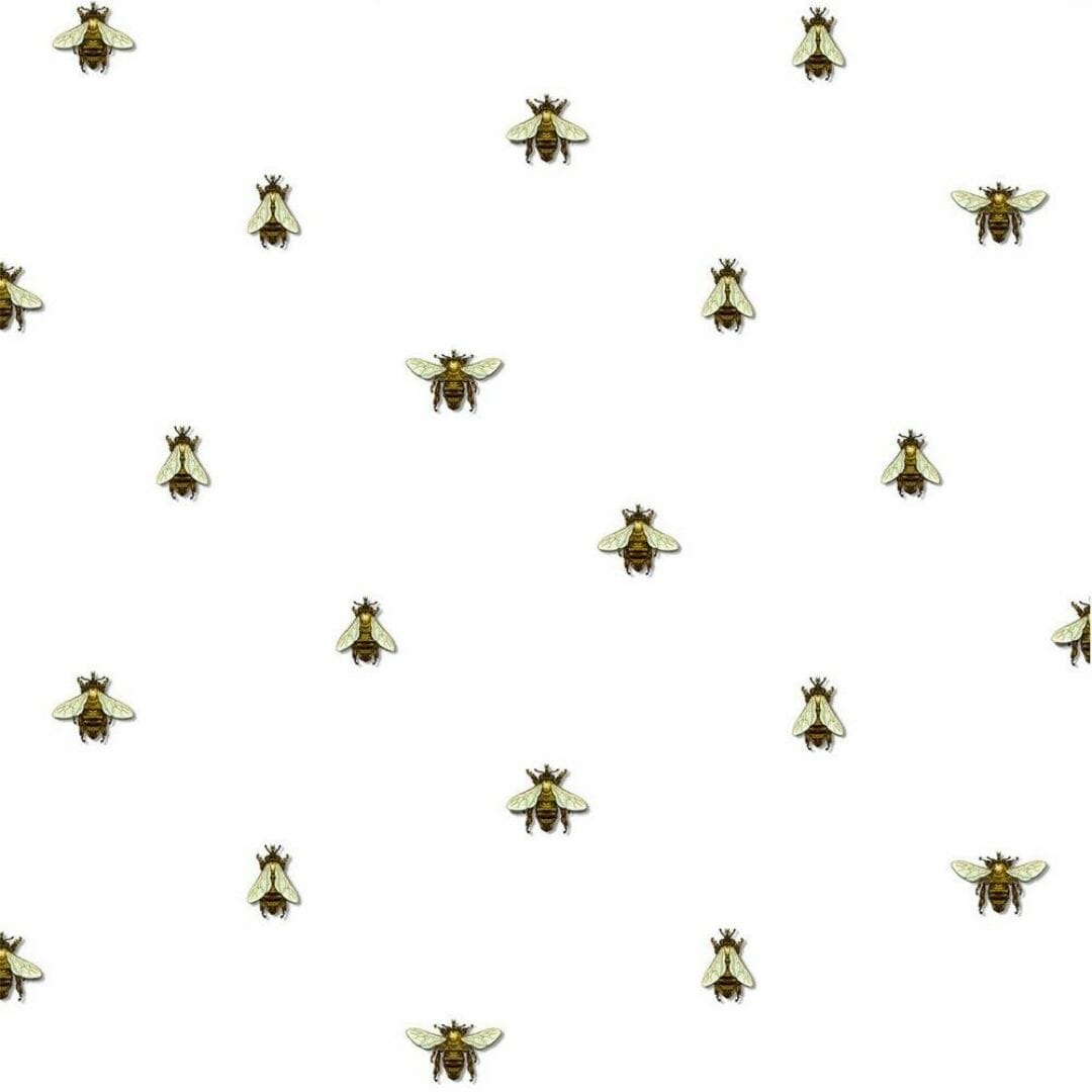 Bee Iphone Wallpapers