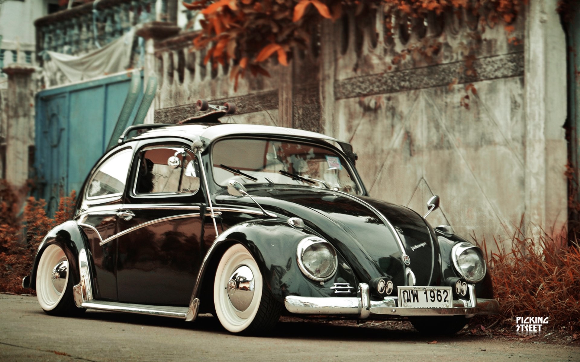 Beetle Wallpapers