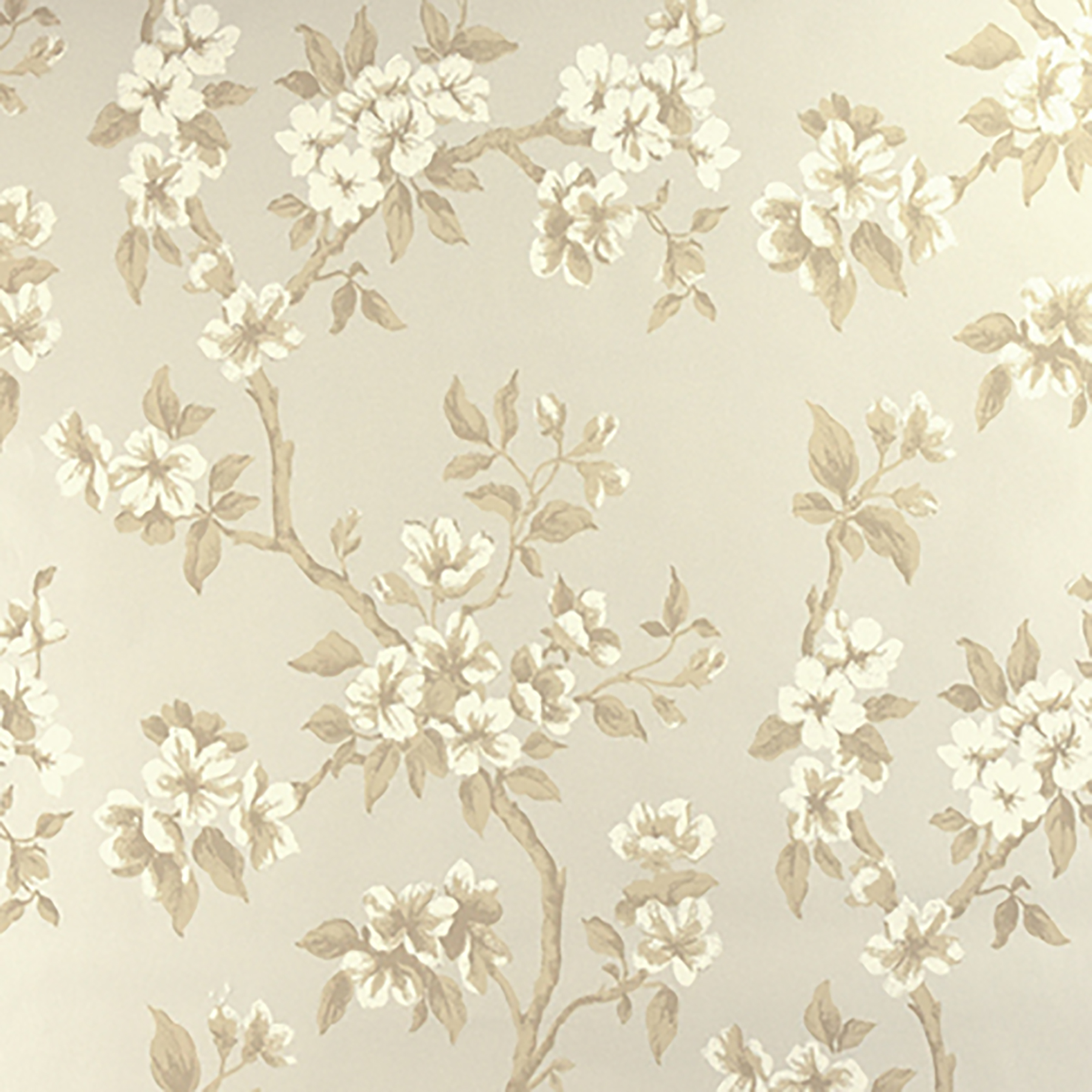 Beige Flowers Wallpapers