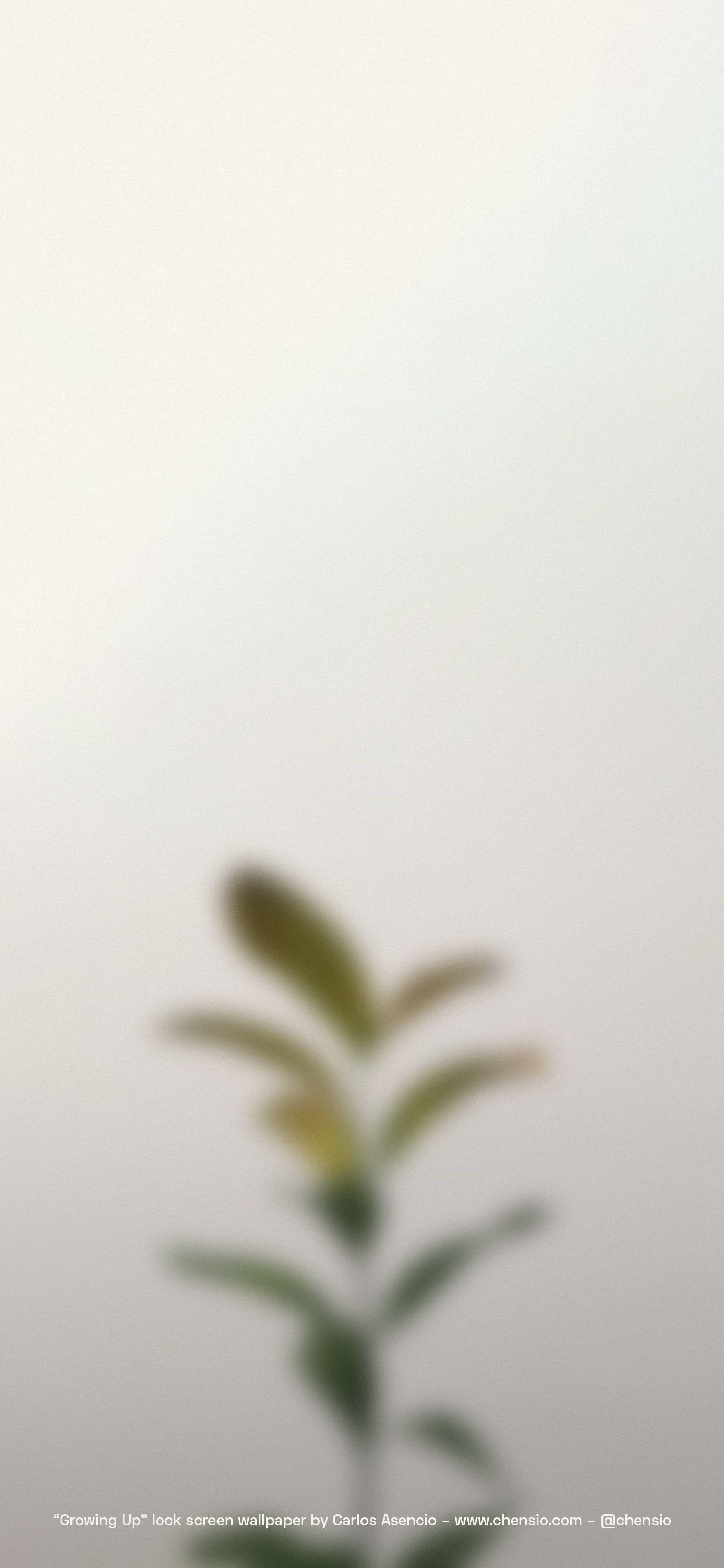 Beige For Iphone Wallpapers