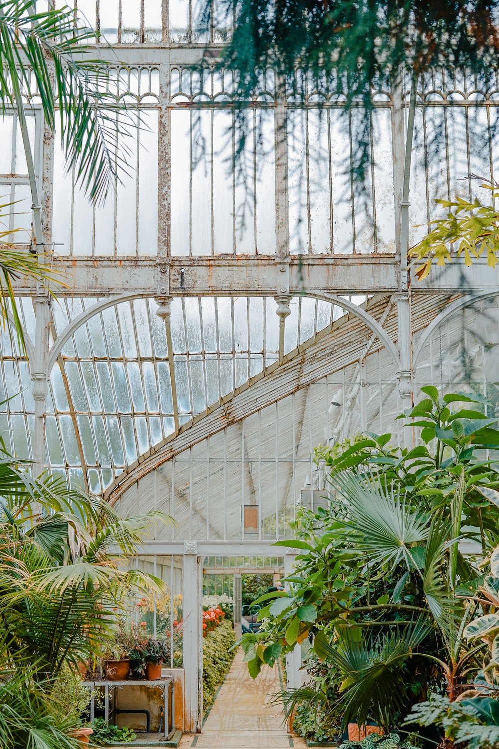 Belfast Botanic Gardens In Northern Ireland Wallpapers