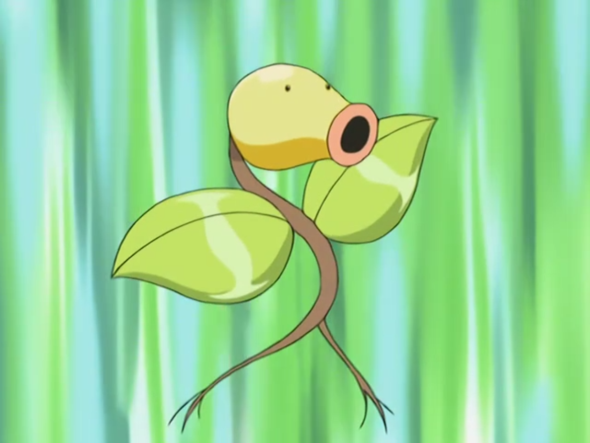 Bellsprout Hd Wallpapers