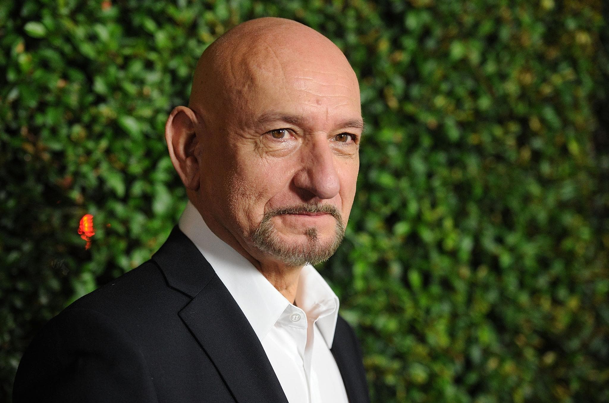 Ben Kingsley Wallpapers