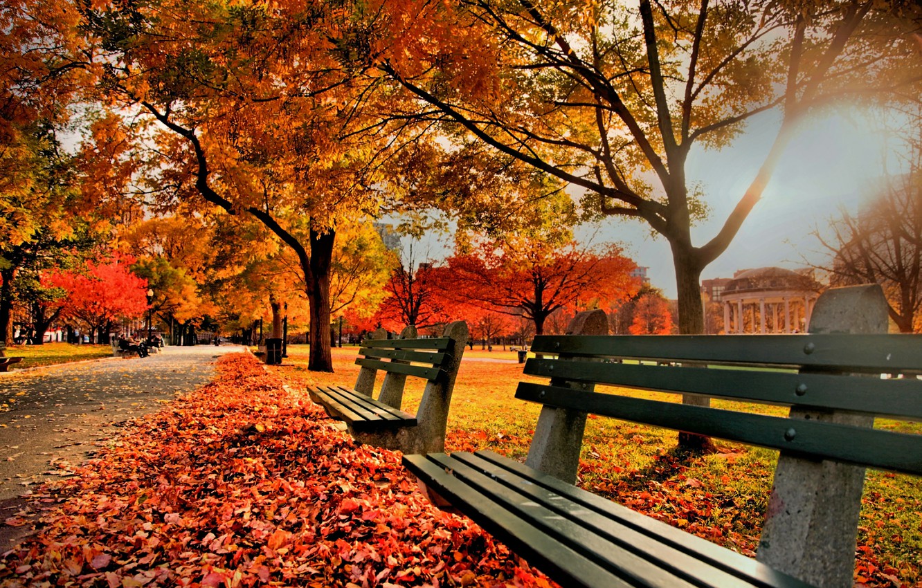 Bench And Trees From Autumn Park In Fall Wallpapers